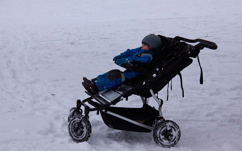 bebé en carro gemelar en la nieve